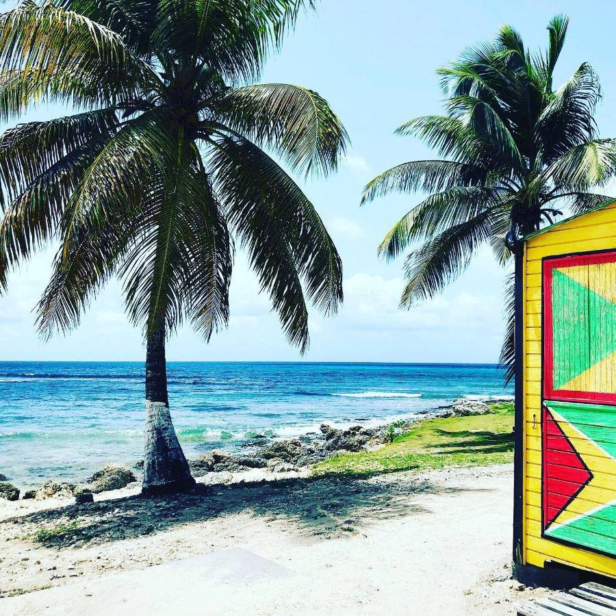 Ti Coin Paradis Anse-Bertrand Extérieur photo